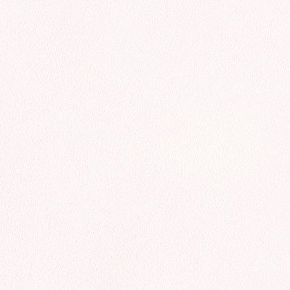 クロス(will 2017-2020) のりなしタイプ 1mカット販売 LW2283 1