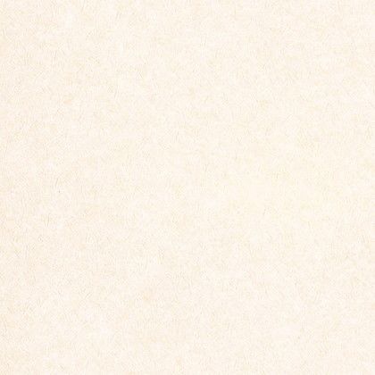 クロス(will 2017-2020) のりなしタイプ 1mカット販売 LW2350 1