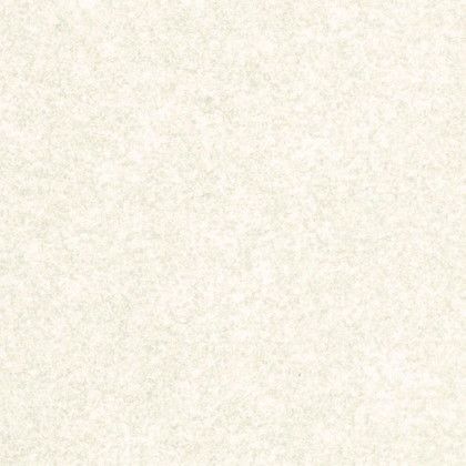 LW2415