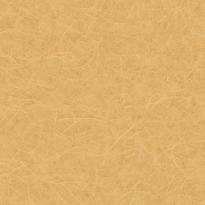 LW2645