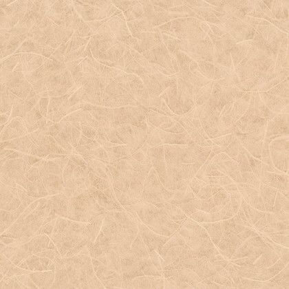 LW2647