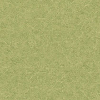 LW2648