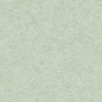 LW2651