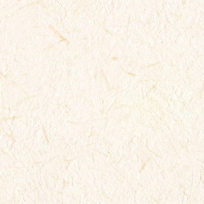 LW2653
