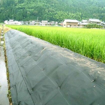 グラスガード KWS-100-50GR 1000mm×50m 1巻