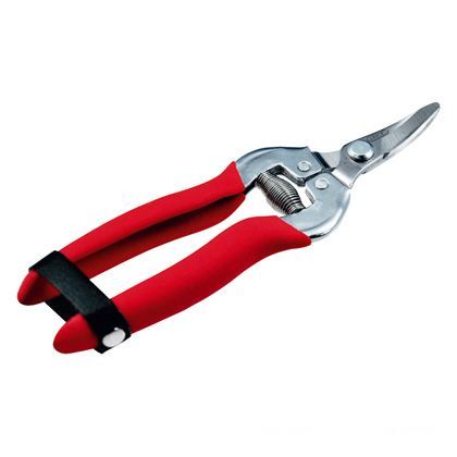 ステンレス収穫鋏170mm レッド 165×49×16mm TH-170 1