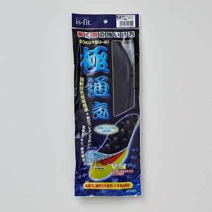 極通気インソール