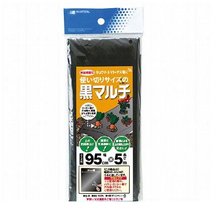 使い切り黒マルチ 1
