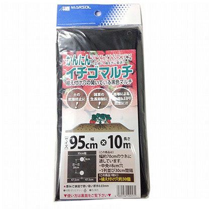 かんたんイチゴマルチ 1