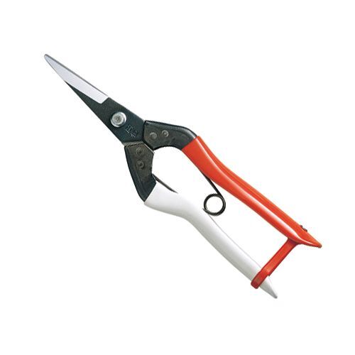 芽切鋏(箱入り) NO.304 1点