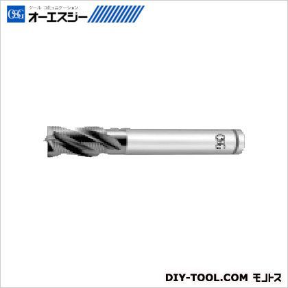 エンドミル8407525 VSS-XPM-RESF XPM 25 1