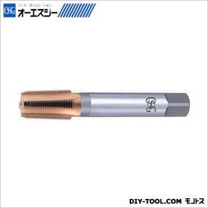 タップ8309308 TIN-LT-TPT H 2 PT1/4-19X100 1