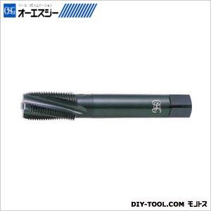 タップ8309215 LT-SUS-TPT H 2 PT3/8-19X150 1