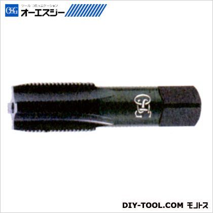 タップ23976 EX-SUS-SPT H 2 PF3/4-14 1