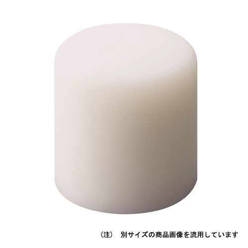 NTプラハンマー替頭♯1/2 2個入 NT-05HBP 1点