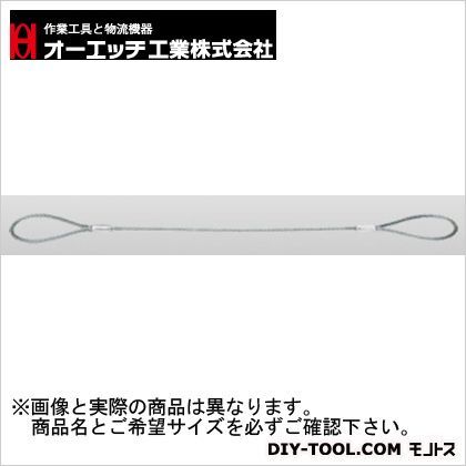 アウトアルミロックワイヤー OLW6-10 1点