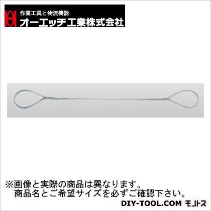 JIS編込玉掛けワイヤー ATW6-10 1点