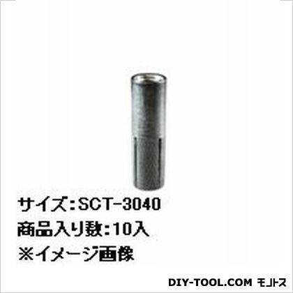 シーティーアンカー(ステン) SCT-3040 10本