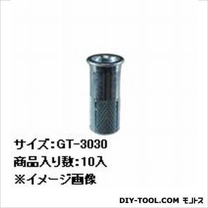 GTアンカー GT-3030 10本