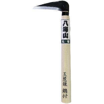 鋼付 玉ネギ鎌