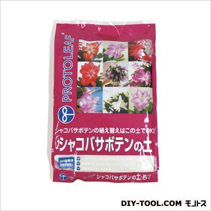 シャコバサボテンの土