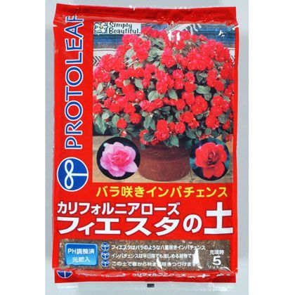 フィエスタの土