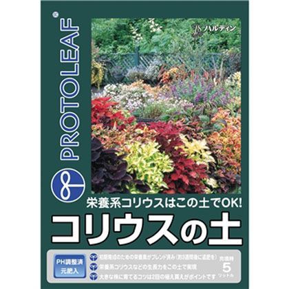 コリウスの土 1