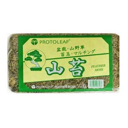 1点