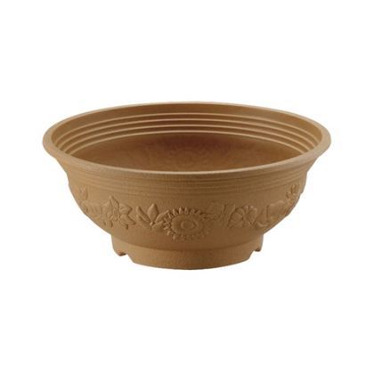 Nシャンティーボール