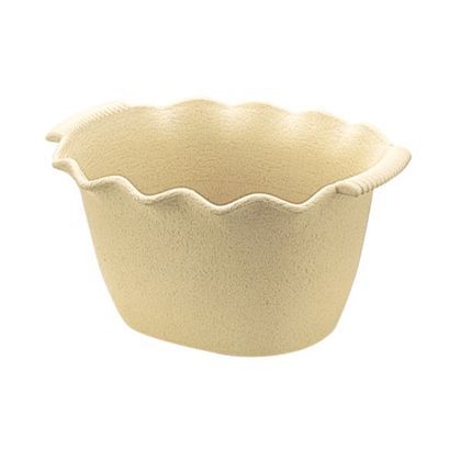 ソレシアバスケット