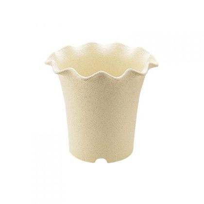 ソレシアハイポット