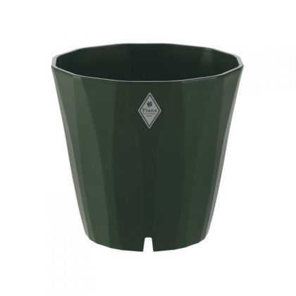 ピアーナプレート ダークグリーン 25型 1