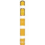 サンコー旭化成ケミカルMUアンカー(打込み型) MU-20 1本