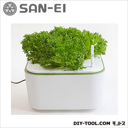 アクア栽培キットie・naイエナ水耕栽培