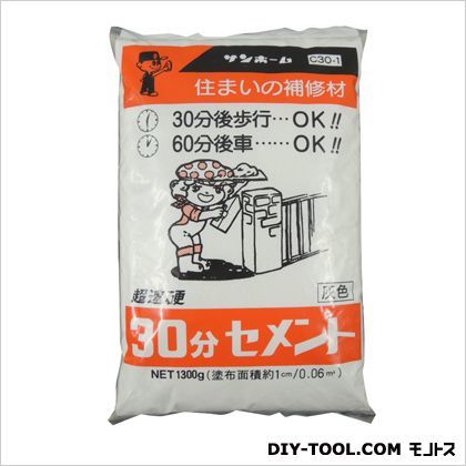 30分間セメント 1.3kg C30-1 1
