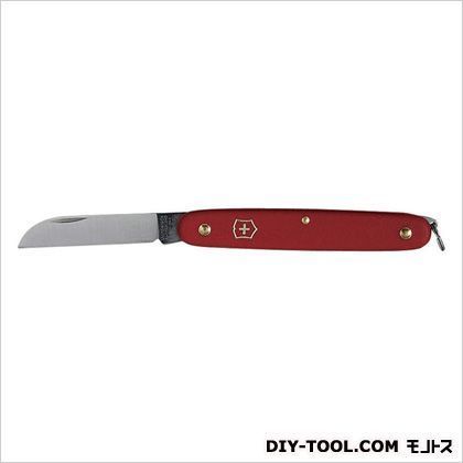 フラワーナイフ直 1