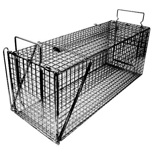 ジャンボRB61ブラック RB-1 1