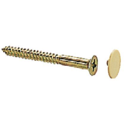 フィット木ネジ カバー付 ベージュ 皿4.5×56 FS-2 50組