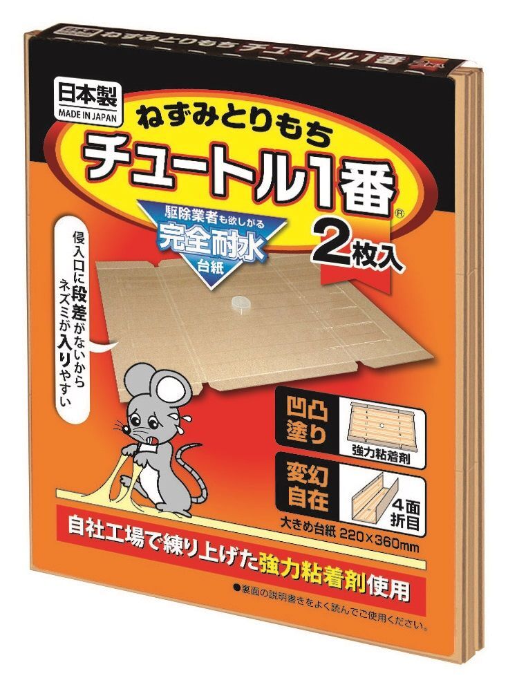 凹凸チュートル1番 2P