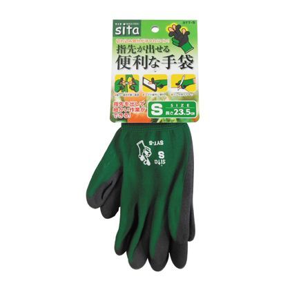 S SYT-S 1点
