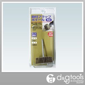 軸付フラップホイール DF-30A 1