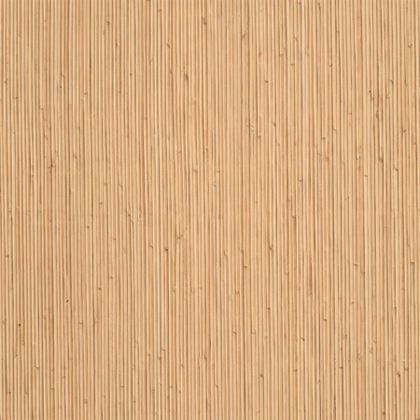 ロイヤルウッド 450×450mm PWT649 1