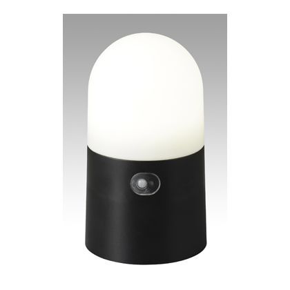 LEDガーデンセンサーライト H215×W160×D130(mm) 1