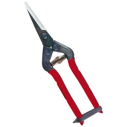 芽切・摘果鋏 T-55CH 1