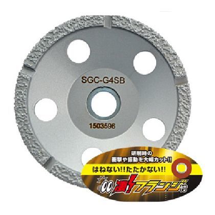 100mm×20mm SGC-G4SB 1点