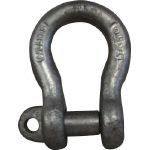 TAIYOシャックル(丸タイプ・ねじ込みタイプ)ドブ BC10G 1個