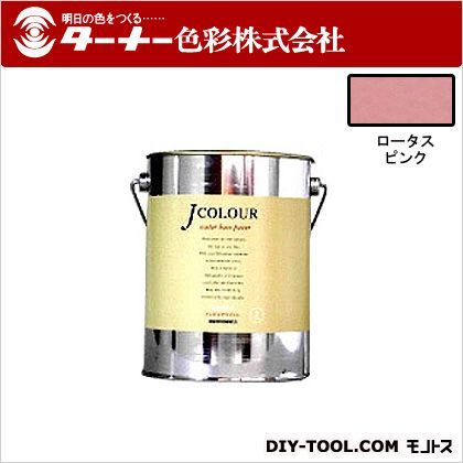 Jカラー ロータスピンク 2L JC20BD4A 1