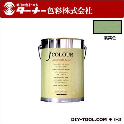 Jカラー 裏葉色(うらはいろ) 4L JC40JB4C 1