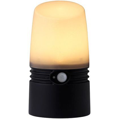 アプローチセンサーライトS電池式