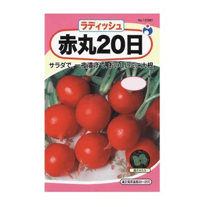 赤丸二十日大根 7ml 1